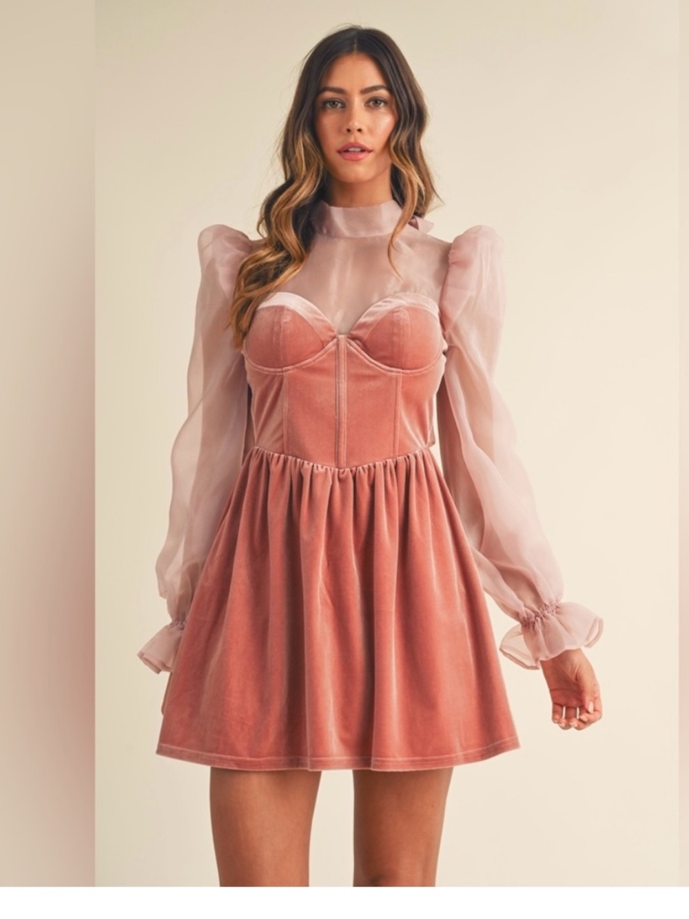 Mable Rose Organza Puff Sleeve Velvet Mini Dress